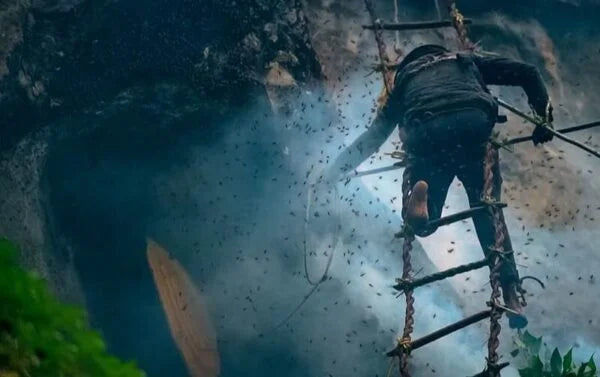 Honey hunter on cliff
