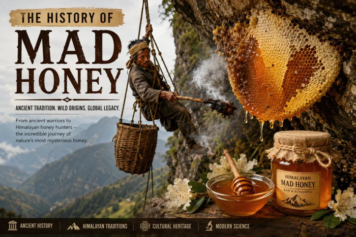 Mad Honey: Benefits, History, Effects, Dosage, Safety & Complete Guide (2026)